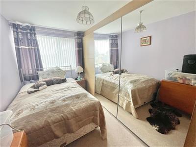Picture 11
